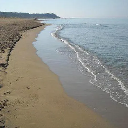 Artsy Wooden Ratzaklíon